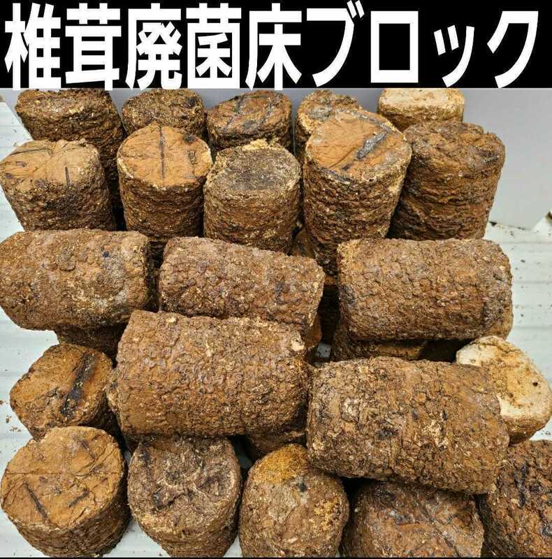 発酵マットに埋め込むと栄養強化に！カブト幼虫がサイズアップ！椎茸廃菌床☆ブロックに潜りこんでめちゃ食う！クヌギ100％原料　限定販売