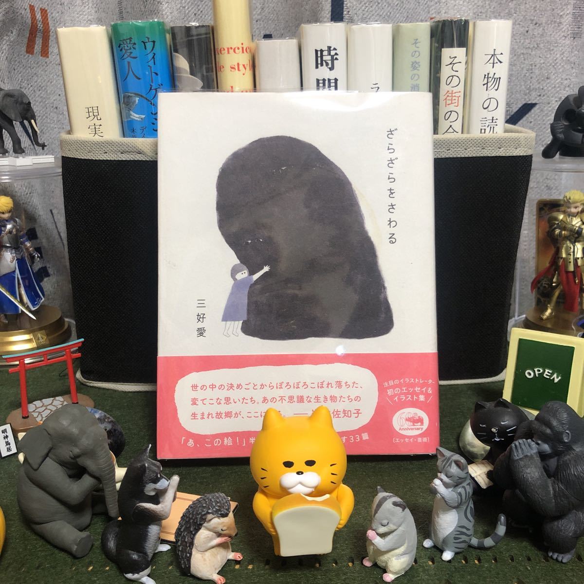ざらざらをさわる 三好愛