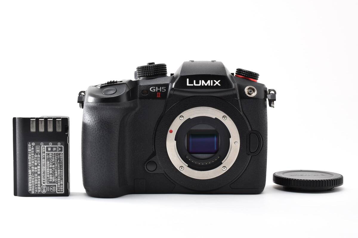 ★極上品★【ショット数11409回】パナソニック LUMIX GH5 II DC-GH5M2 Y3914#77
