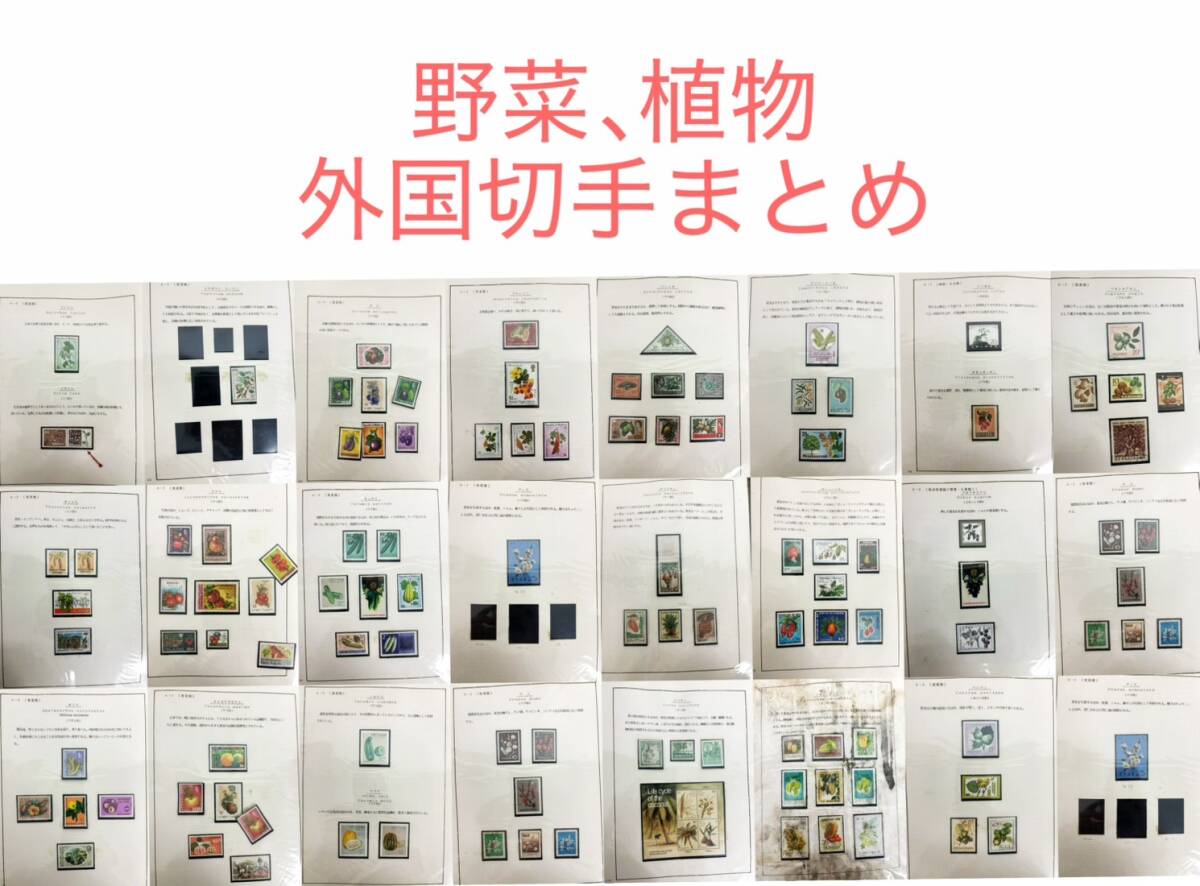 大量 外国切手 まとめ売り リーフ24枚 野菜 植物 果物 キノコ 自然 テーマ コレクション 整理品 未使用多数 消印付混在 コラージュ