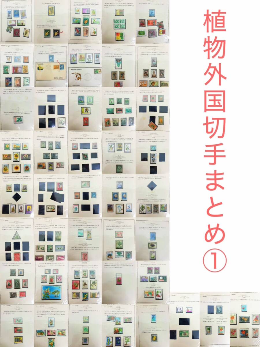 大量 外国切手 まとめ売り 200枚～ リーフ43枚 植物 花 薬用植物 樹木 自然 テーマ コレクション 整理品 未使用多数 消印付混在 コラージュ