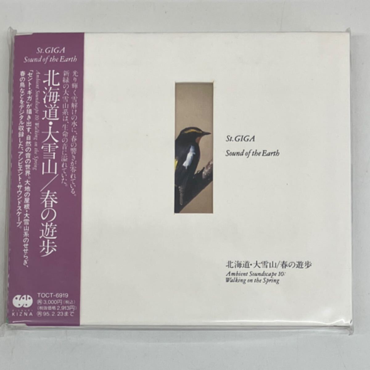 22)【希少/見本品】CD / 北海道・大雪山 / 春の遊歩 / Ambient Soundscape 10 / セント・ギガ St.GIGA / TOCT-6919 廃盤 環境音楽