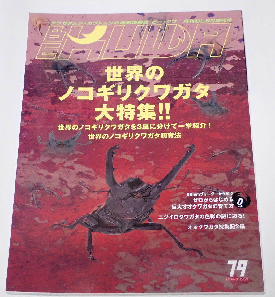 BE KUWA ビークワ No.79■世界のノコギリクワガタ大特集｜３属に分けて一挙公開／飼育法／日本産クワガタムシ採集紀行／ニジイロの沼