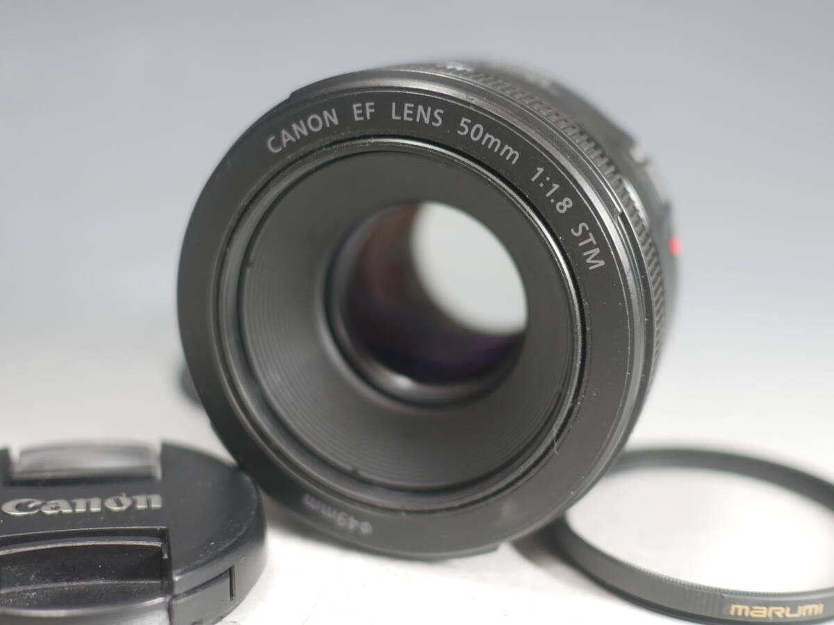 ◆CANON EF LENS 50mm 1:1.8 STM 単焦点レンズ USED品 キヤノン