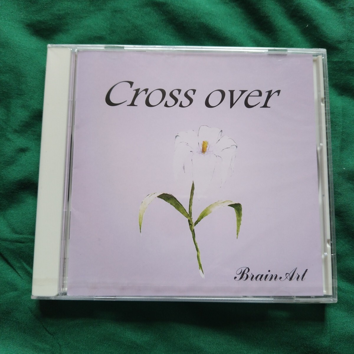 新品未開封　ブレインアート　Brain Art / Cross Over ヴィジュアル系　ex炸裂
