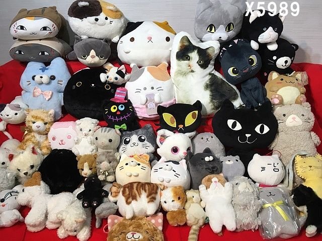 X5989L ぬいぐるみ ネコ 猫 REGARO ジョイフルメイト にゃんこ先生 おかえり園田くん など まとめ