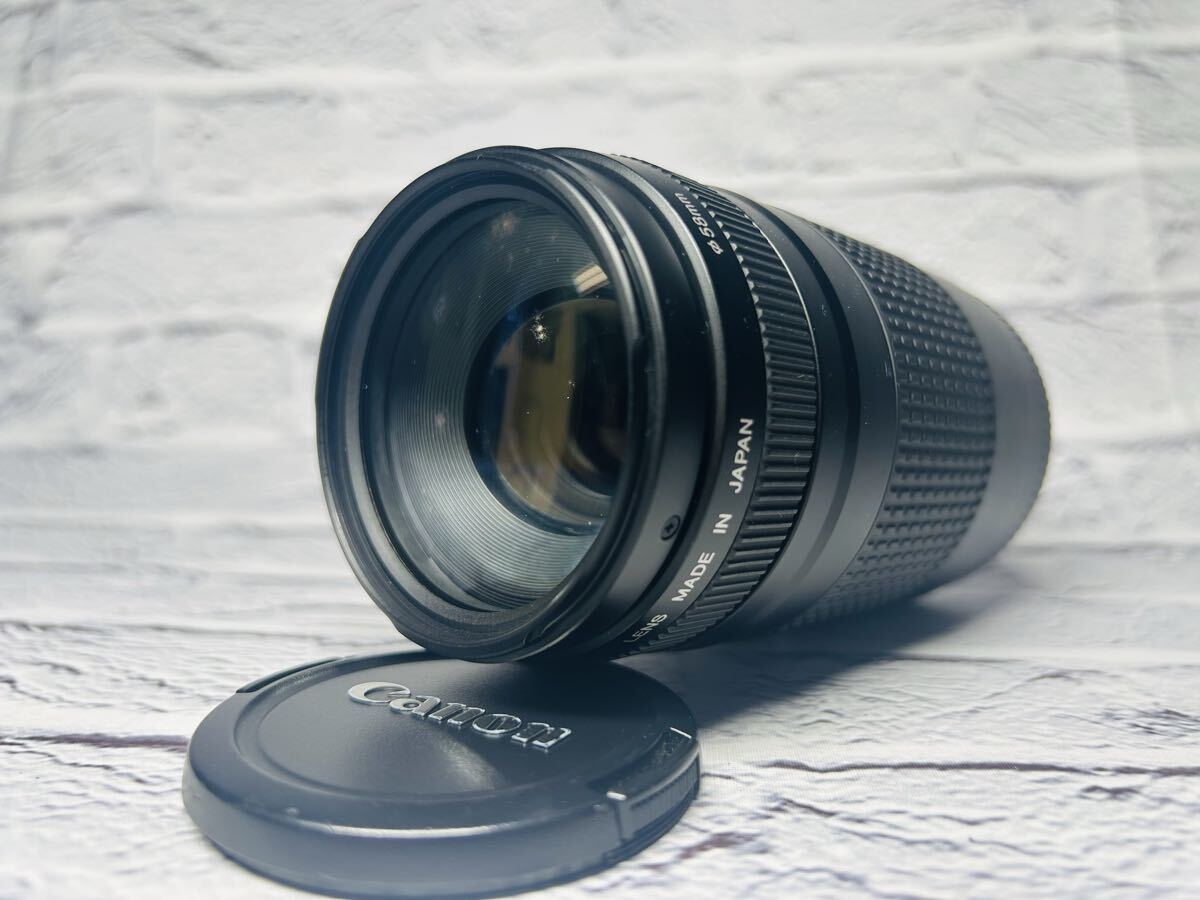 CANON EF 75-300mm 1:4.5-5.6 Ⅱ キヤノン キャノン