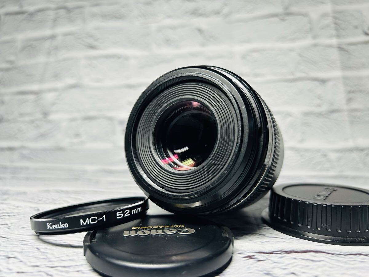Canon EF-S 60mm キヤノン キャノン MACRO