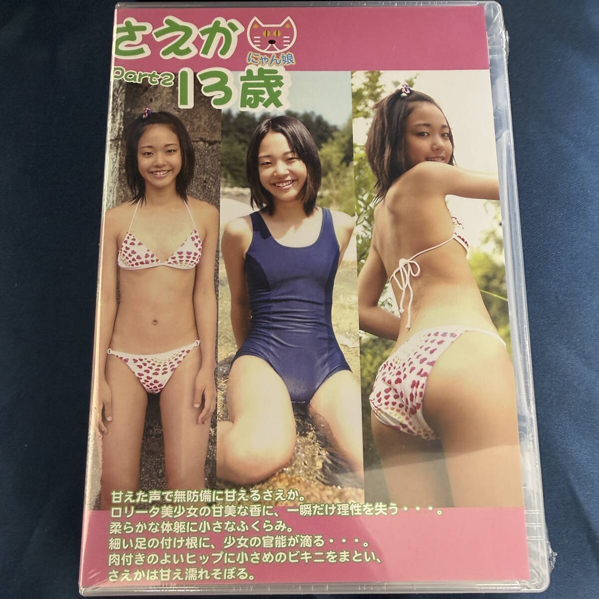 【イメージDVD】 さえか にゃん娘 Part.2 / 金銀財宝社 正規品 極美品 アイドル イメージ