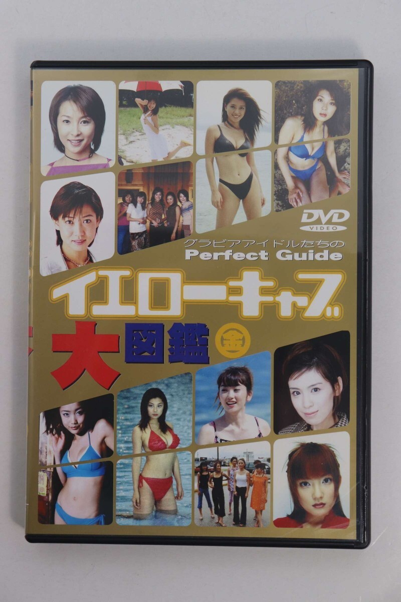 ■ＤＶＤ■イエローキャブ大図鑑　金■オムニバス■中古■