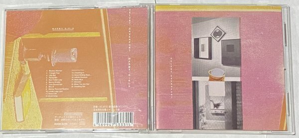 Velvet Davenport Warmy Girls Ariel Pink's Haunted Graffiti VVDP-331 バブルガム・サイケ・ポップ