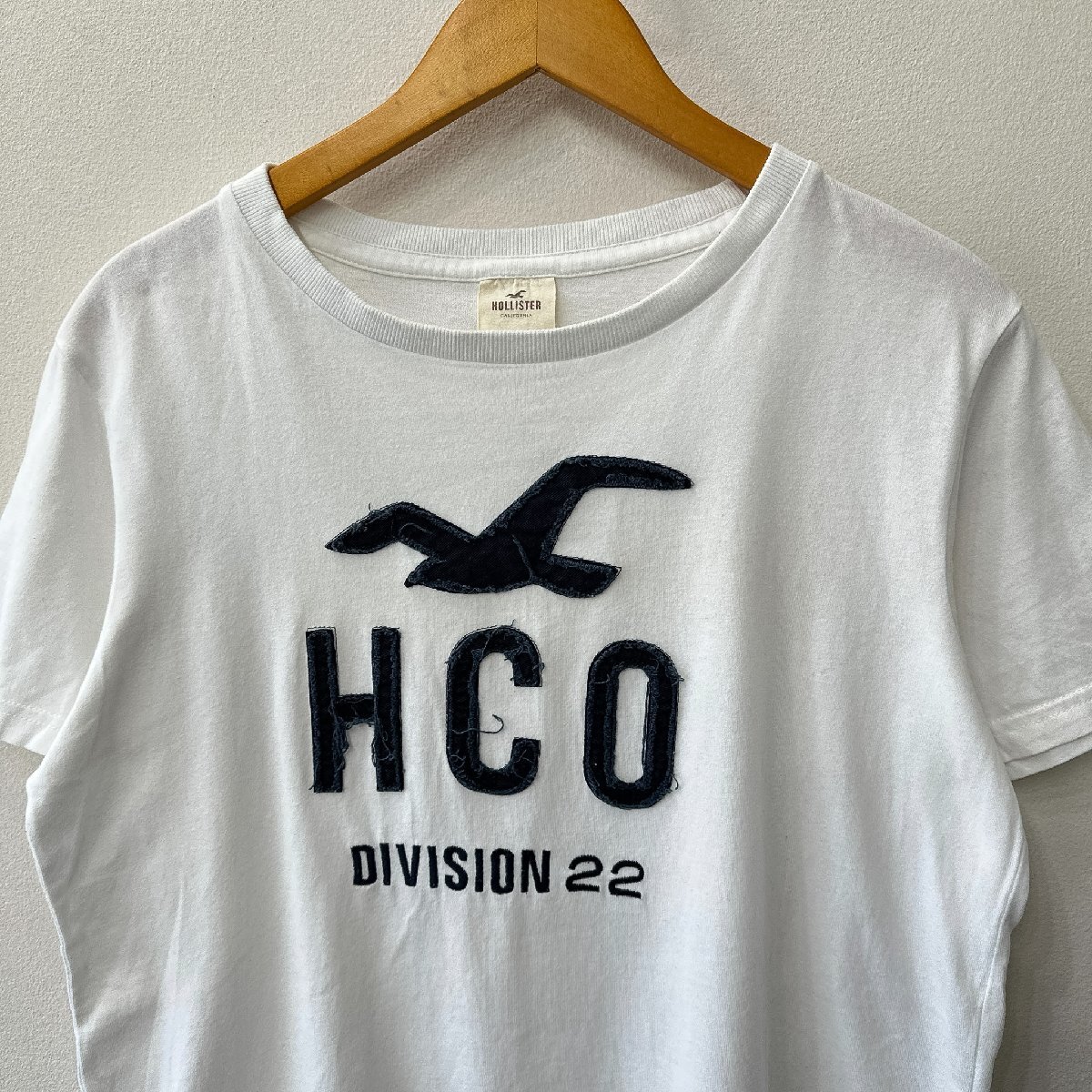 HOLLISTER ホリスター デカロゴ 刺繍 半袖Tシャツ サイズ L /ホワイト系 メンズ アメカジ サーフ カリフォルニア