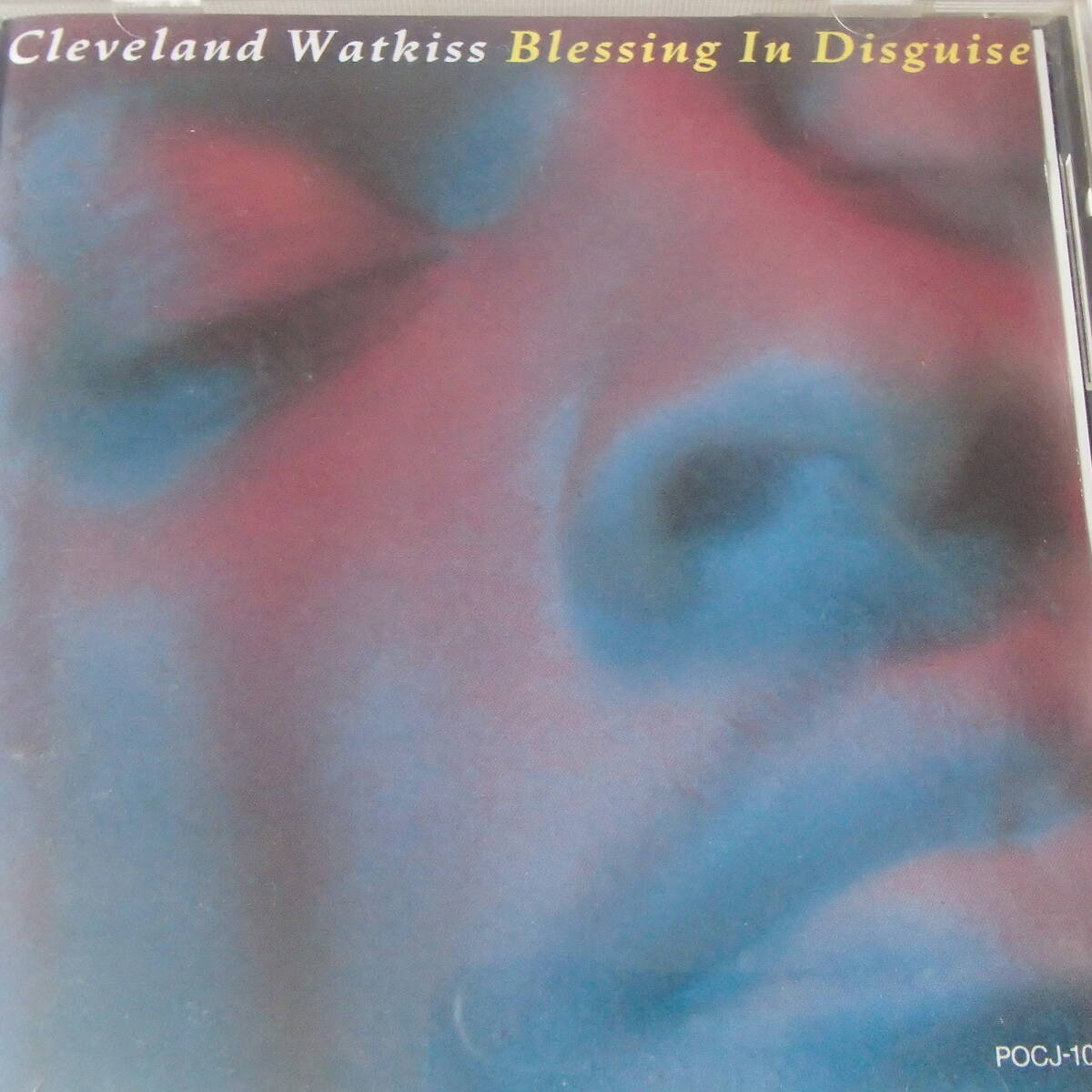 クリーヴランドワトキス　Cleveland Watkiss　/　ブレッシング・イン・ディスガイズ