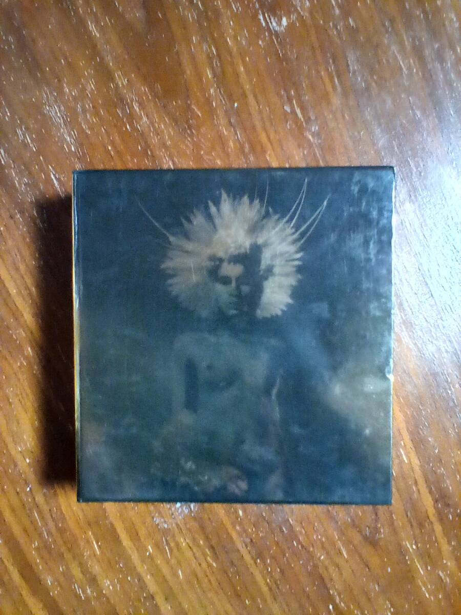 UNKLE / WHERE DID THE NIGHT FALL (2CD)