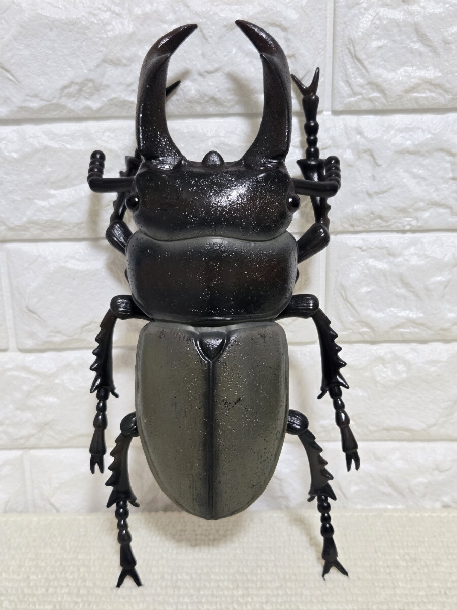 リアルBIGサイズフィギュア☆クワガタ　約30㎝　新品未使用