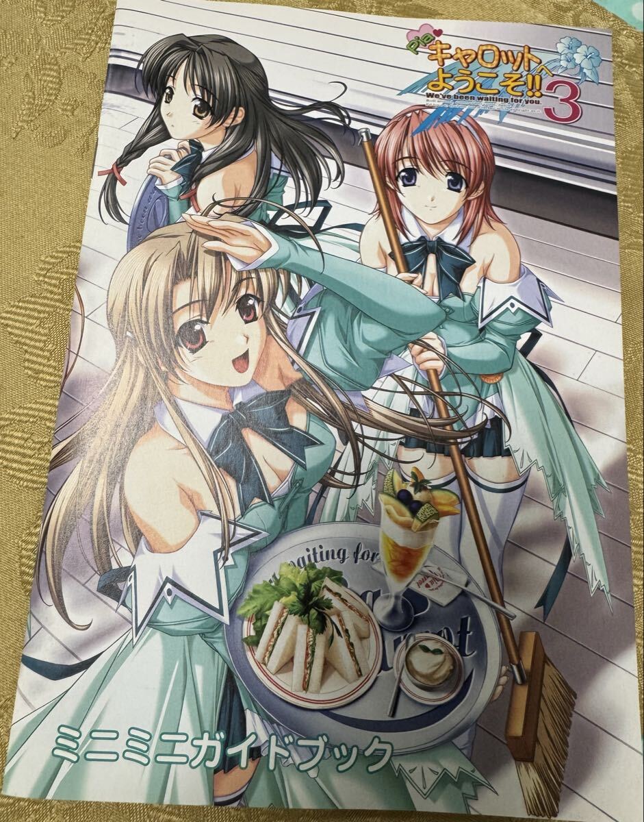 Piaキャロットへようこそ3 ミニミニガイドブック