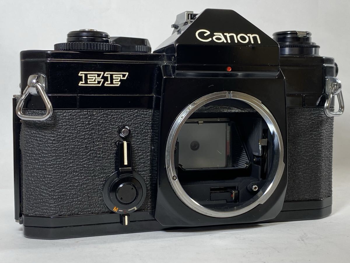 通電OKだが露出計NG！Canon EF キャノンEF ボディ フィルムカメラ /管260804