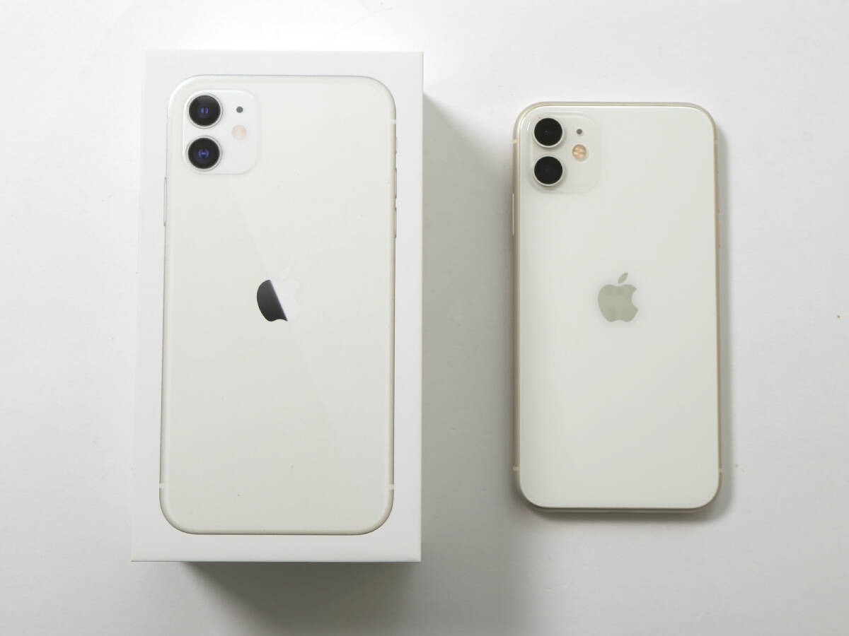 動作品 iPhone 11 128GB MWM22J/A 初期化済み 判定〇 SIMロックなし キャリア：docomo