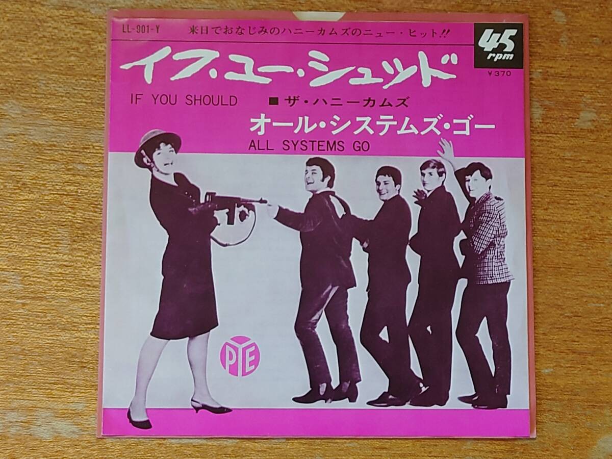 ハニーカムズ「イフ・ユー・シュッド」■1966年/国内シングル盤/LL-901-Y/PYE■THE HONEYCOMBS