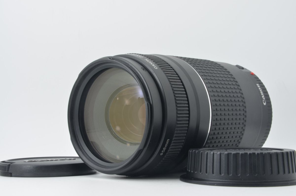 ★動作品★ キヤノン CANON EF 75-300mm F4-5.6 III L4620 #0