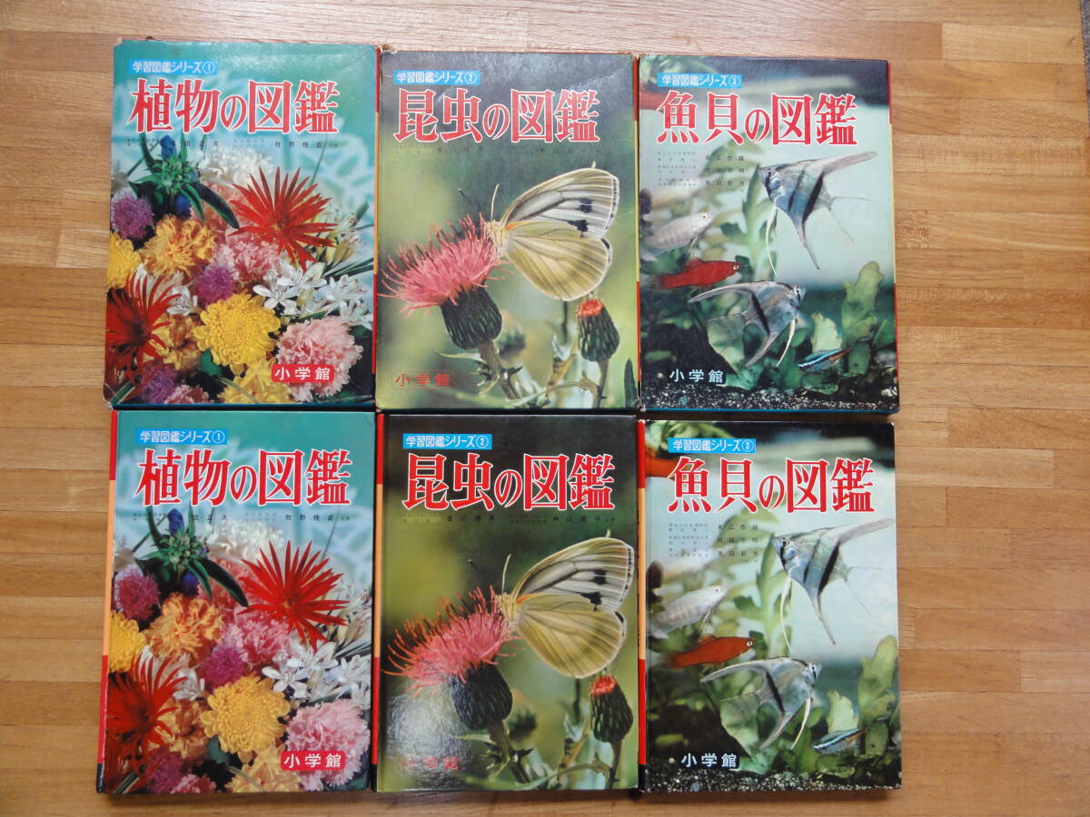 小学館 学習図鑑シリーズ 3冊 まとめ ①植物　②昆虫 ③魚貝