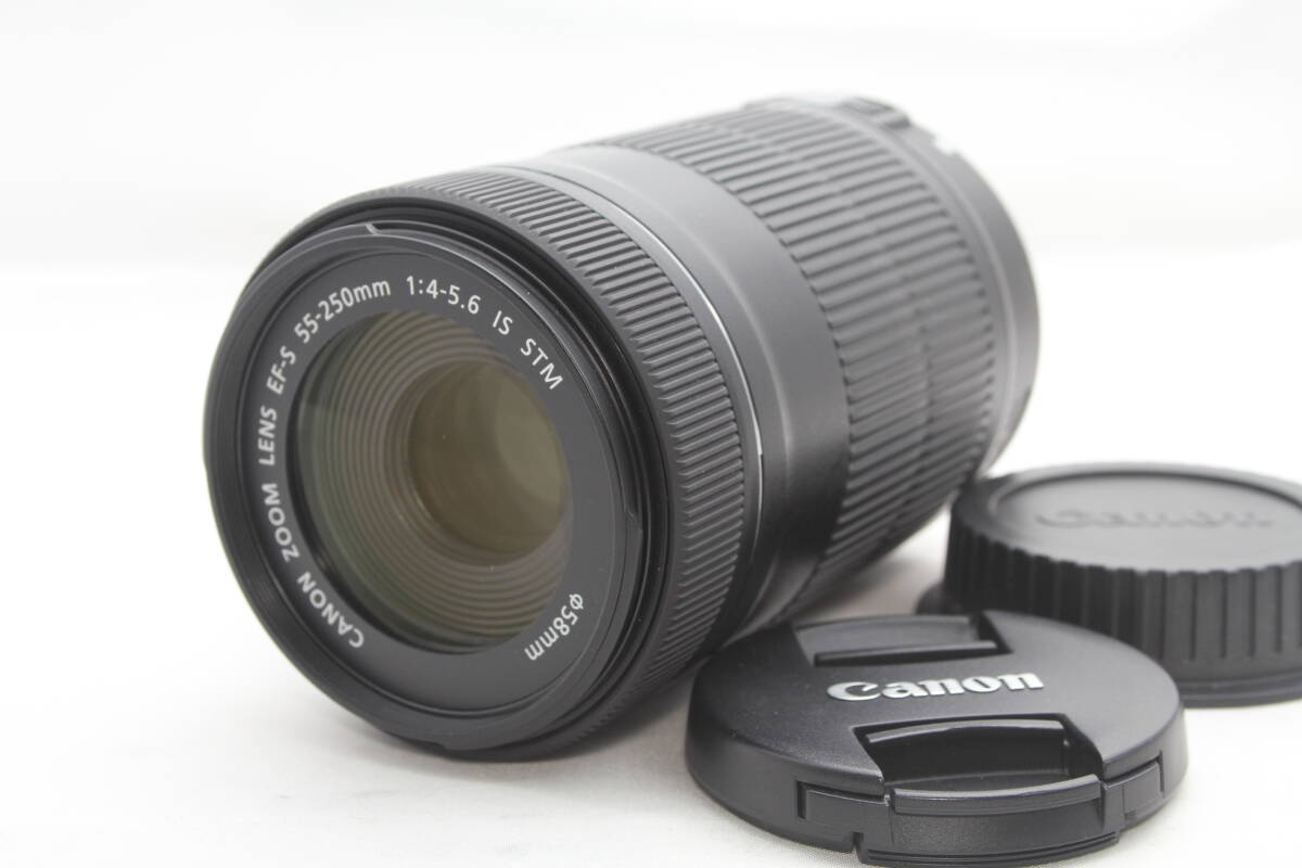 ★【動作〇 おすすめ 極上美品】 Canon EF-S55-250mm F4-5.6 IS STM ★ 手振れ補正付き 純正望遠レンズ EF-S55-250ISSTM