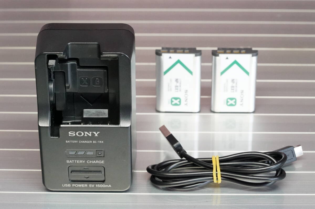 SONY ソニー アクセサリーキット ACC-TRBX 充電器 BC-TRX ＋ 純正バッテリー NP-BX1 2個