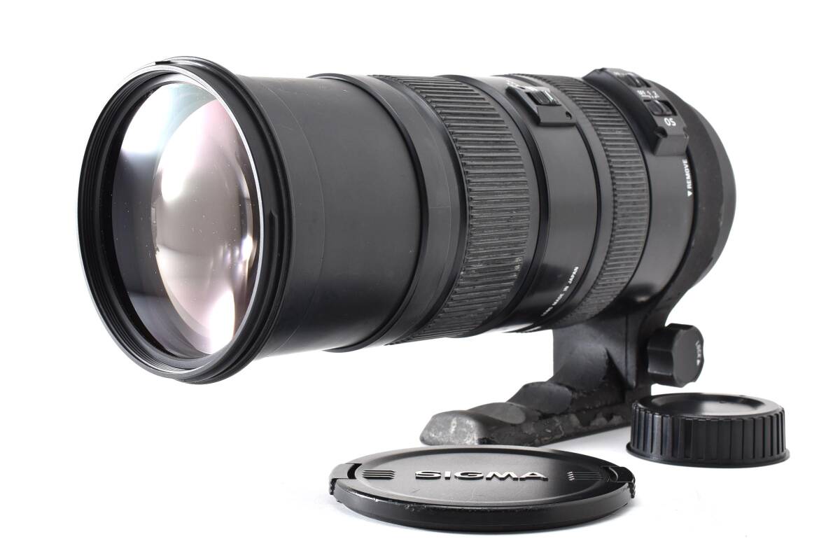 SIGMA シグマ DC 150-500mm 1:5-6.3 APO HSM 望遠ズームレンズ NIKON ニコン #4719