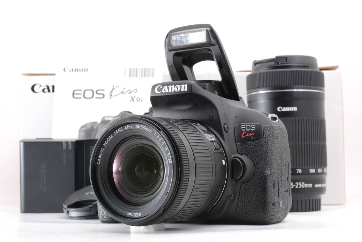 管80WW1944 シャッター回数 3295回 動作品 キャノン Canon EOS Kiss X9i ダブルレンズ 18-55mm 55-250mm デジタル一眼カメラ 箱 取説付