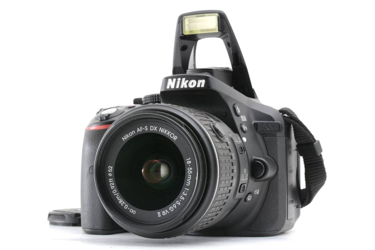 管WW1965 シャッター回数 3858回 動作品 ニコン Nikon D5300 レンズ AF-S DX NIKKOR 18-55mm f3.5-5.6G デジタル一眼カメラ 