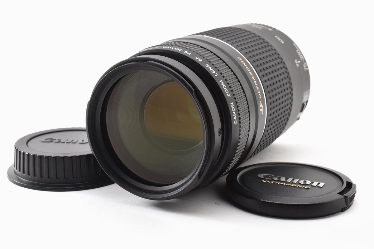 ★良品★ Canon キヤノン キャノン EF 75-300mm F4-5.6 III USM #861W083306