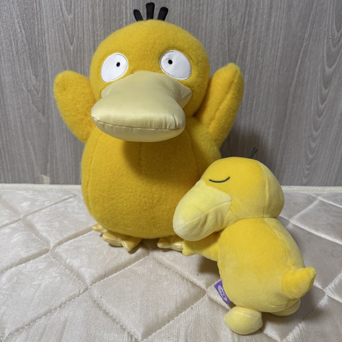 ポケモンセンター ポージングぬいぐるみ コダック スヤスヤ 2点セット