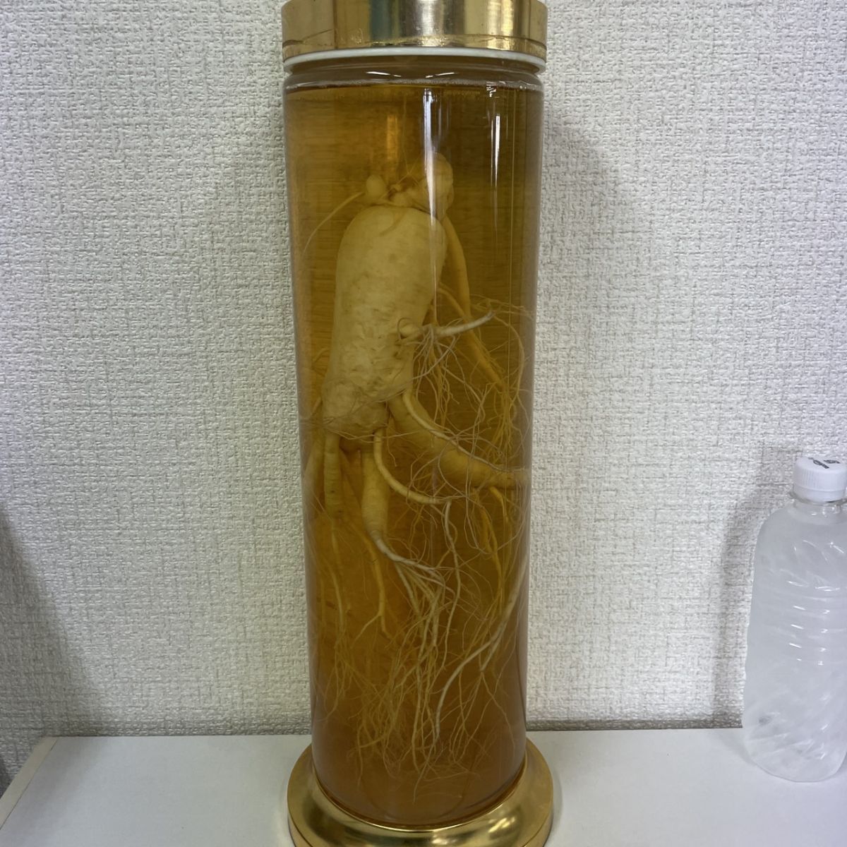 10w50★1000円～★高麗人参酒 総重量 約6.75kg 特大ボトル 朝鮮人参酒 長寿 整理品★飲料 飲料 アルコール 古酒 瓶詰 お酒 健康