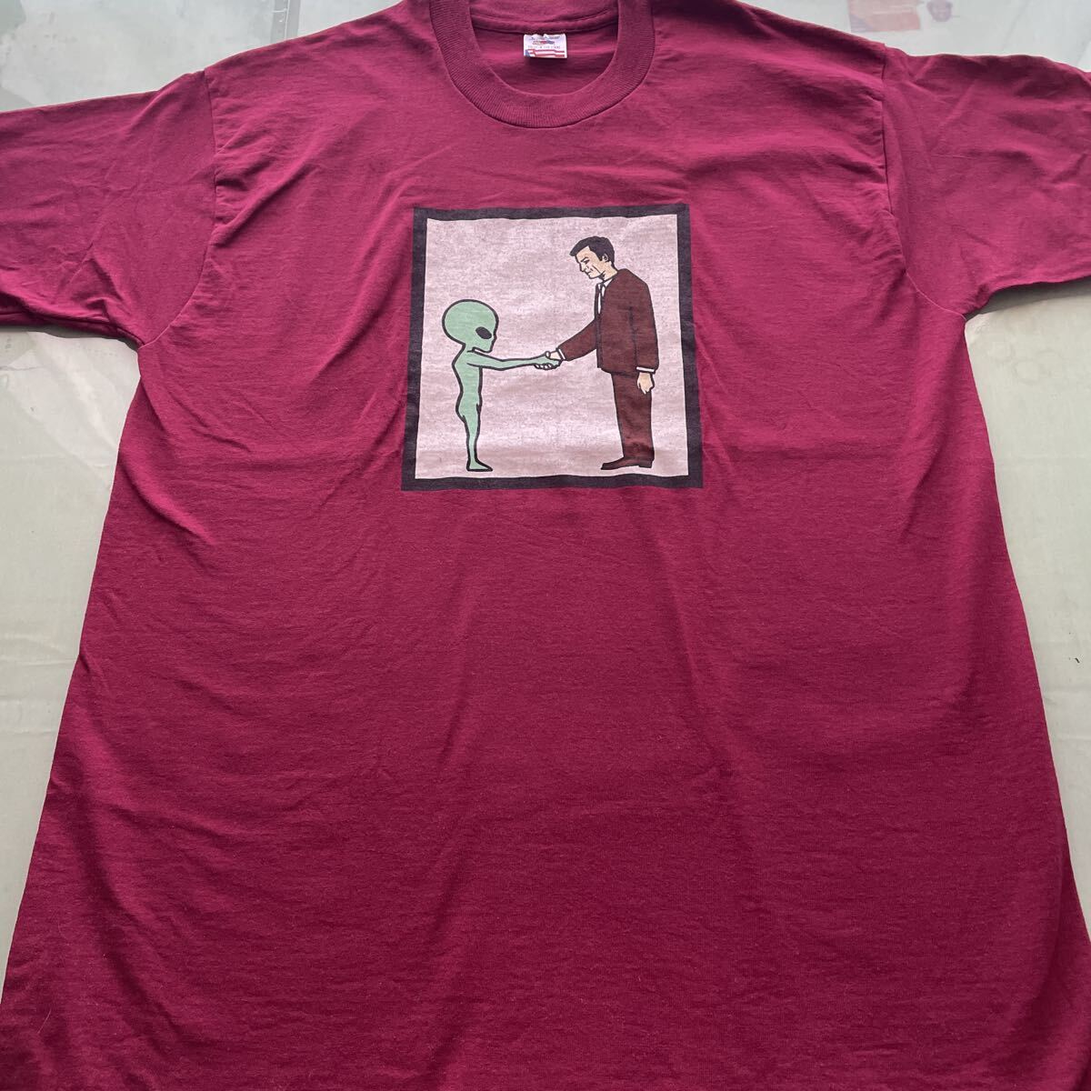 FRUIT OF THE LOOM フルーツ・オブ・ザ・ルーム　Tシャツ　Lサイズ