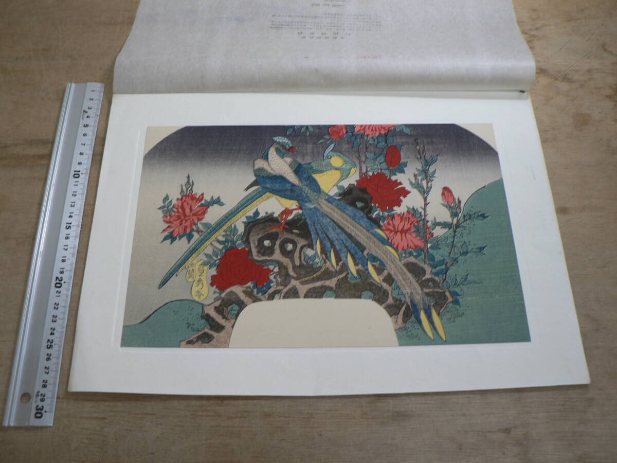 木版画 玉蘭齊秀貞 『団扇絵花鳥』 復刻 解説付 MH028