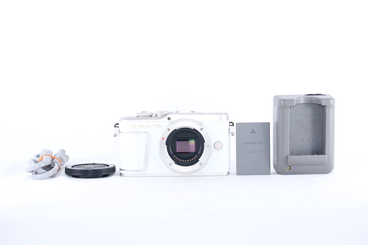 ★極上美品★オリンパス OLYMPUS PEN E-PL9 ボディ ★完動★#D866