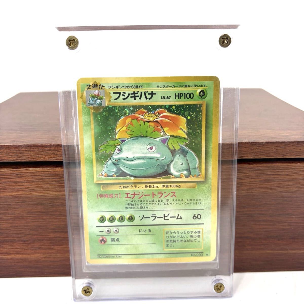 【初版/マークなし】 極美品 旧裏 ポケモンカード フシギバナ Lv.67 たね枠エラーなし スクリューダウン付 初版 マーク無し リザードン 