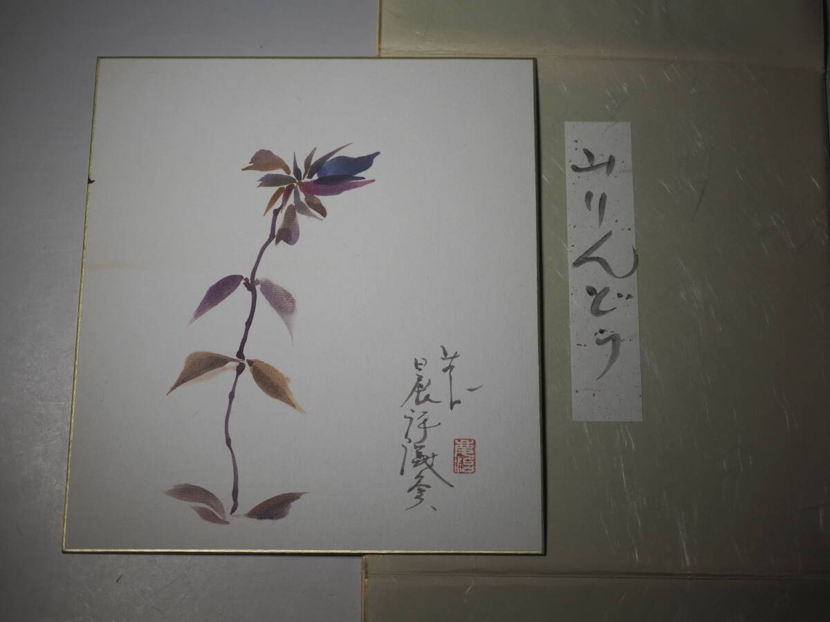 希少 色紙 桜井慶治画　山りんどう　リンドウ