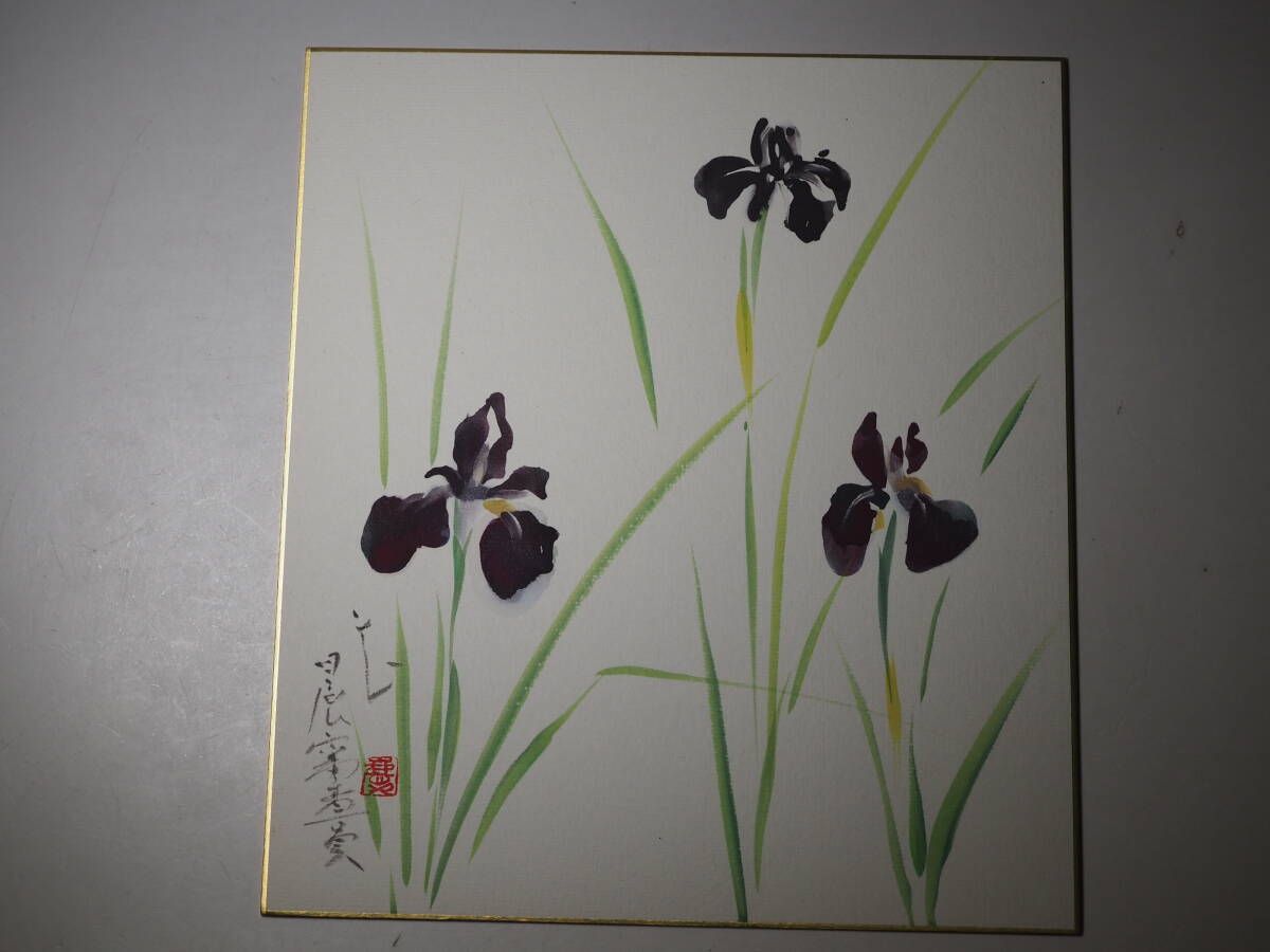 希少 色紙 桜井慶治画 菖蒲 アヤメ カキツバタ あやめ かきつばた