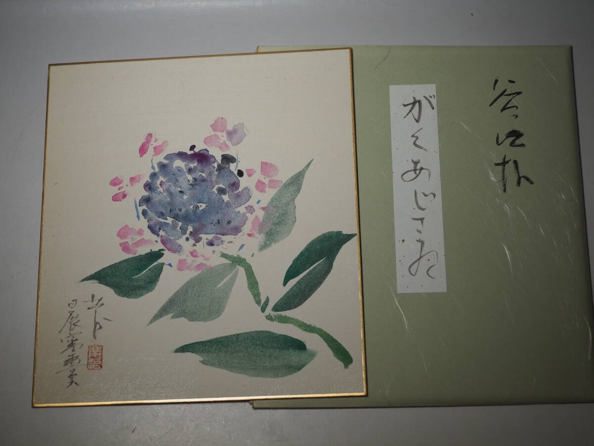 希少 色紙 桜井慶治画 菖蒲 がくあじさい　紫陽花　ガクアジサイ
