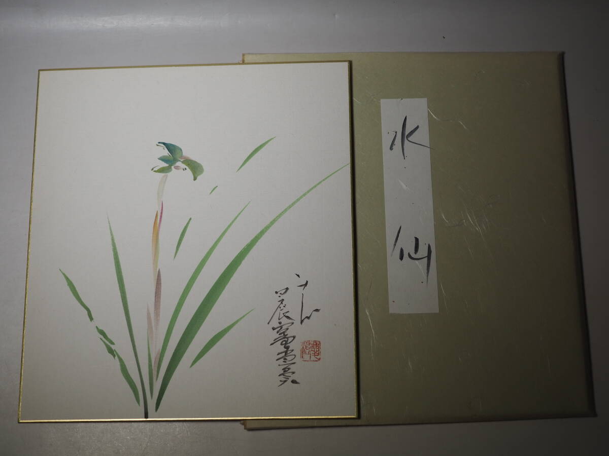 希少 色紙 桜井慶治画 水仙　スイセン