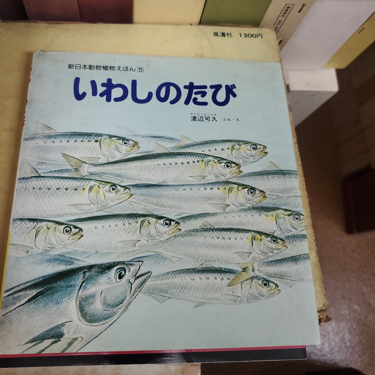 いわしのたび （新日本動物植物えほん　５） 渡辺可久／ぶん・え
