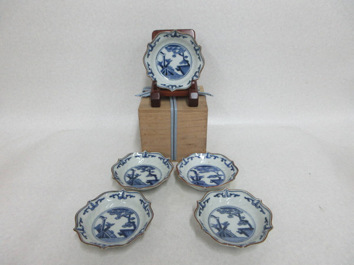 Ｔ５６８０　古伊萬里　染付　唐草松文紅縁稜花皿　５客　３寸皿　直径１０．８ｃｍ　合箱