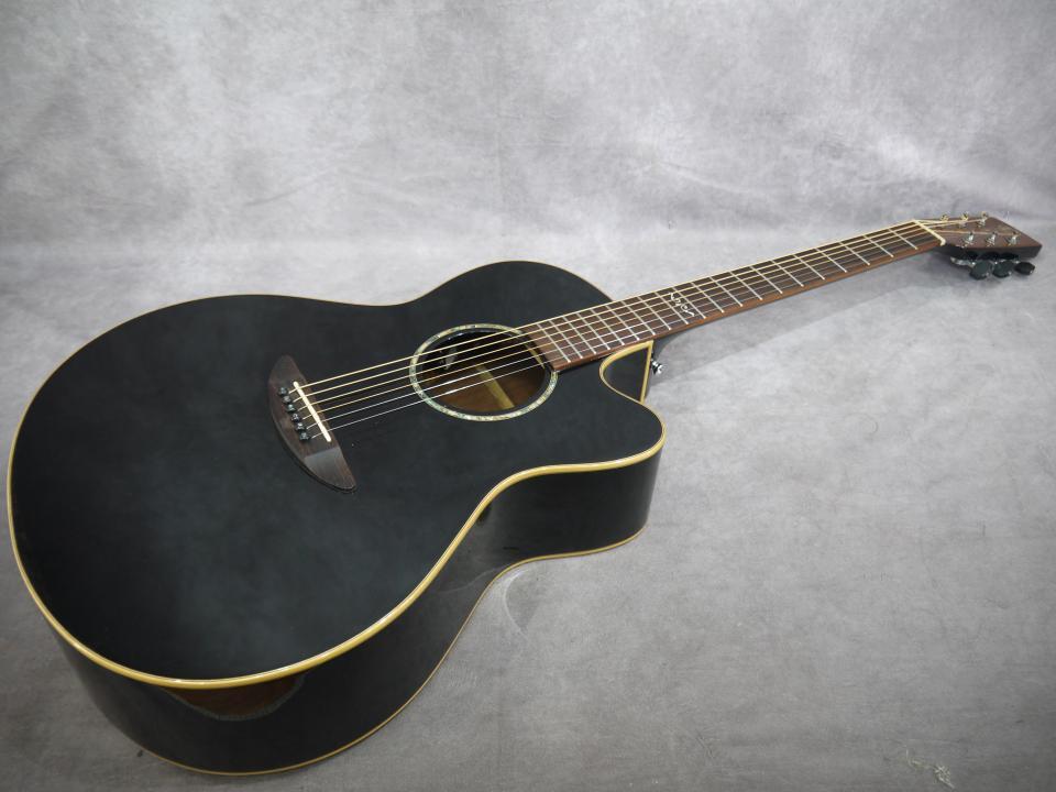 DCT（Dream　Comes　True）■X-300CE■FISHMAN Presys+　非常に弾きやすいエレアコです！