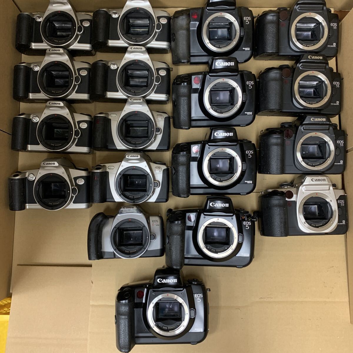 まとめて Canon EOS5 EOS55 Kiss KissⅢ KissLite キヤノン 一眼レフカメラ フィルムカメラ ボディ 未確認 SET 226