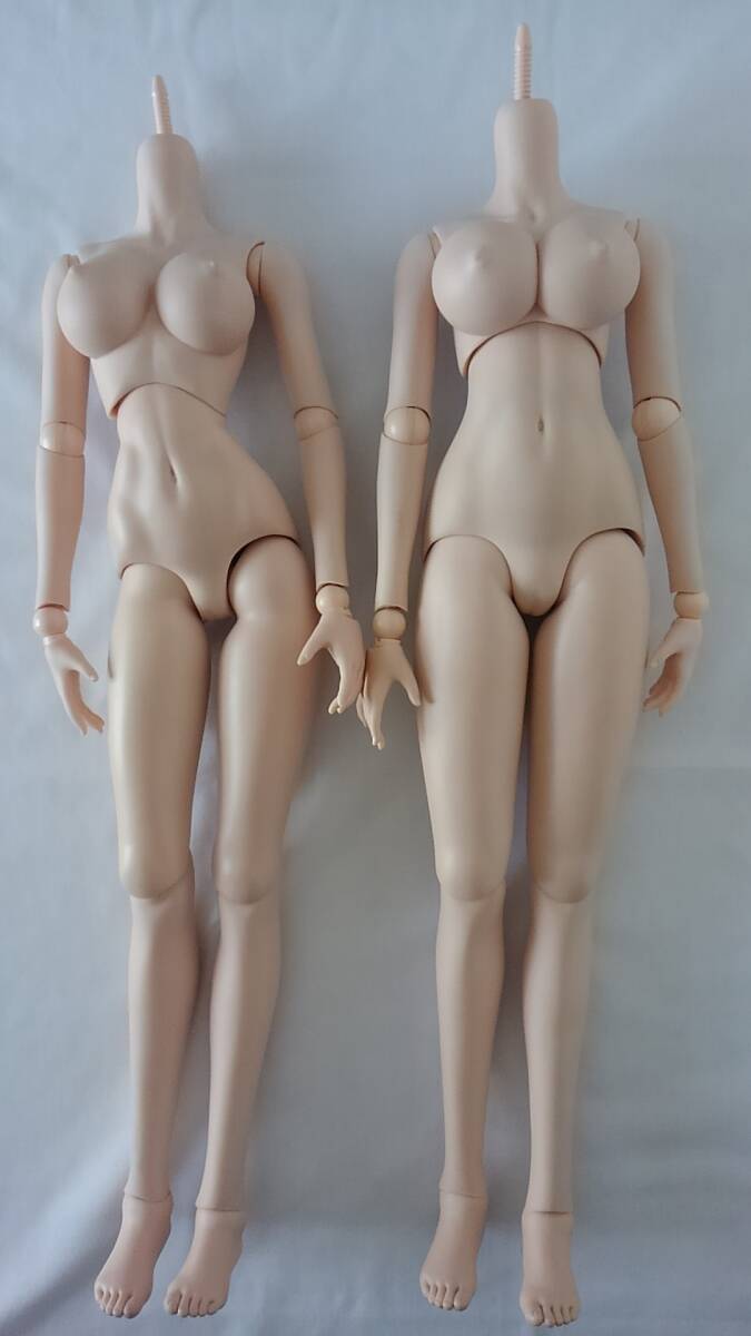 ボークス社◆球体関節人形 カスタムドール用ボディ◆2体 高さ50cm ◆頭部無し