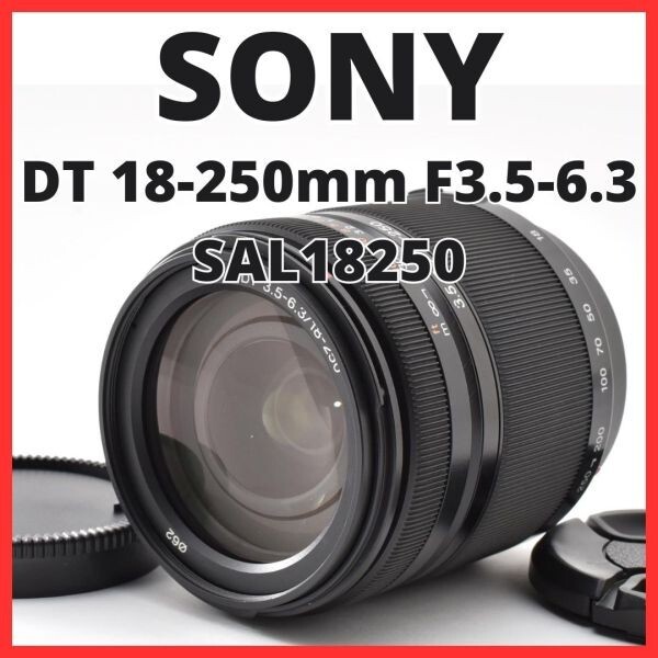 G31[8413]4★極美品★ ソニー SONY DT 18-250mm F3.5-6.3 SAL18250