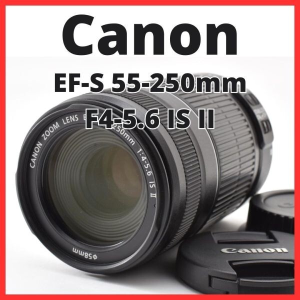 G31[8419]2★美品★ キヤノン Canon EF-S 55-250mm F4-5.6 IS II