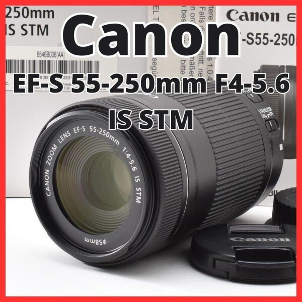 G31[8349]10★美品★ キヤノン Canon EF-S 55-250mm F4-5.6 IS STM