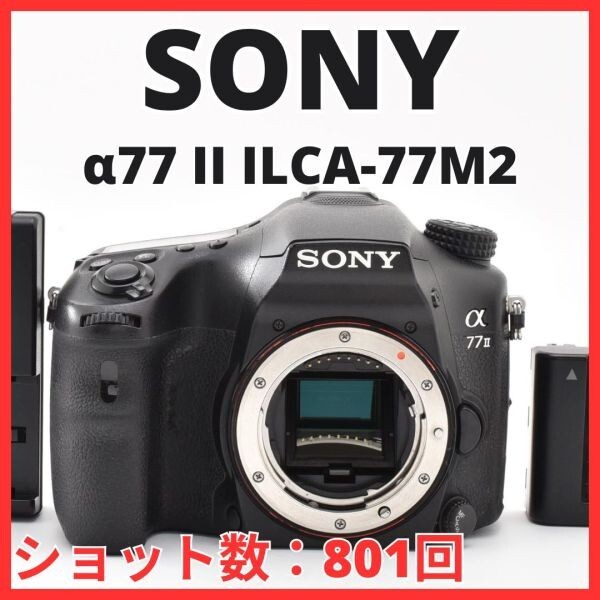 G31[8362]46★ほぼ未使用★ ソニー SONY α77 II ボディ ILCA-77M2 【ショット数 801回】